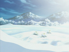 Green Green Thirteen: Erolutions